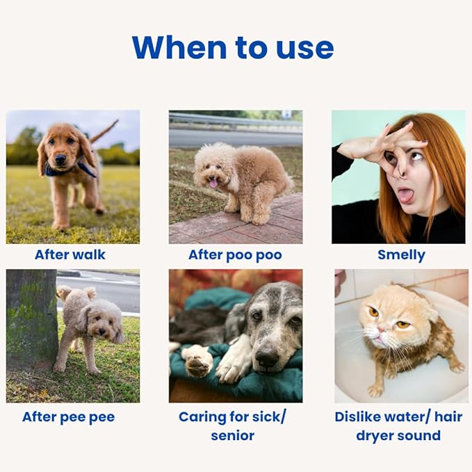 Waterless No Rinse Dog Dry Shampoo Cooling Effect for Smelly Dogs. Suitable Cat Shampoo for Dandruff. Good for Itch. Developed with Vet in Singapore-Minty Fresh-6.8 fl oz