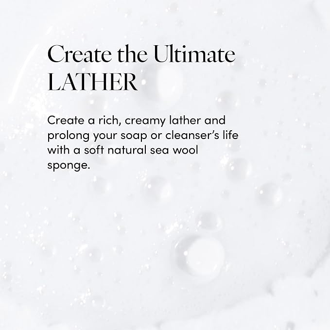 LATHER - Natural Sea Wool Sponge, 5-6" - Organic Exfoliating Body Scrubber - Soft, Gentle Cleansing - Hypoallergenic - All Skin Types - Florida Natural Loofah Sponge - Cruelty Free - Beauty & Skincare