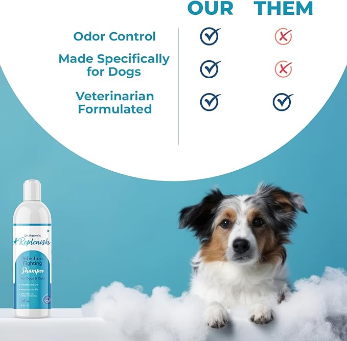 Replenish Anti Itch Dog Shampoo - Medicated Antiseptic Shampoo for Skin Irritation Treatment & Itchy Skin Relief - Dr. Rachel’s Chlorhexidine Dog Shampoo for Yeast with Cucumber Melon Scent - 8 oz