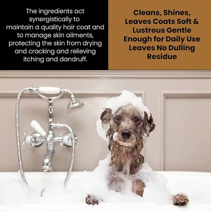Corakko - Dog Shampoo for Allergies & Itching - Premium Therapeutic Skin Care Formula - Nano-Copper Technology - Conditions & Cleanses Leaving Coat Moisturized & Nourished with a Healthy Shine - 32oz