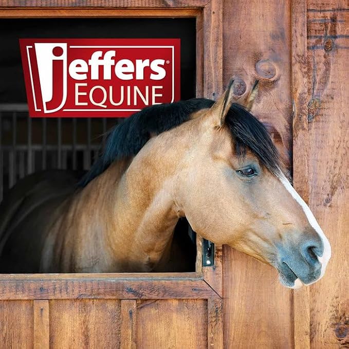 Jeffers Equine Antibacterial & Antifungal Medicated Horse Shampoo, 16 Oz - Concentrated Deodorizing Horse Shampoo for Skin & Coat Cleansing with Chloroxylenol, Coconut Oil Base & Vitamins A, D, E