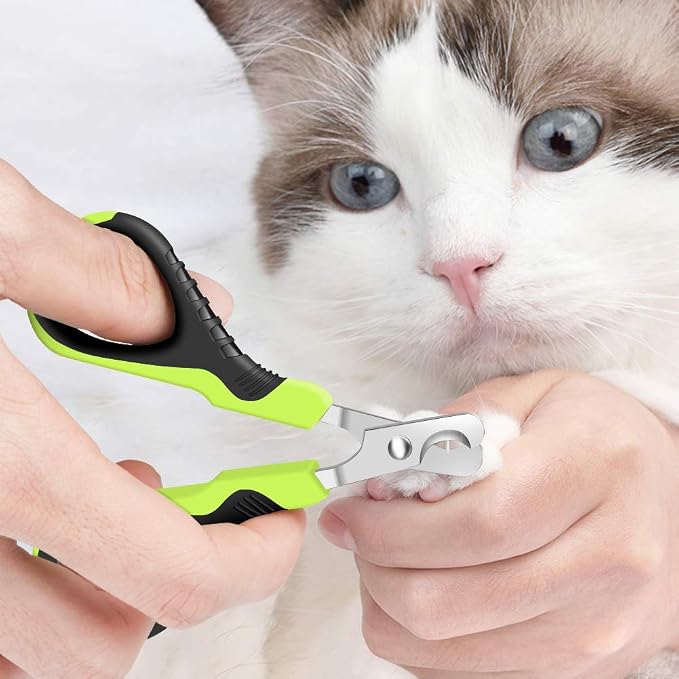 VICTHY 100pcs Cat Nail Caps with Clipper Set, Cat Nail Clipper + Nail Covers with Adhesive and Applicators Size Medium (5 COLORS)