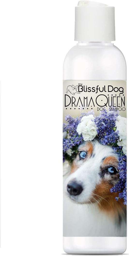 The Blissful Dog Australian Shepherd Drama Queen Shampoo, 8 oz.