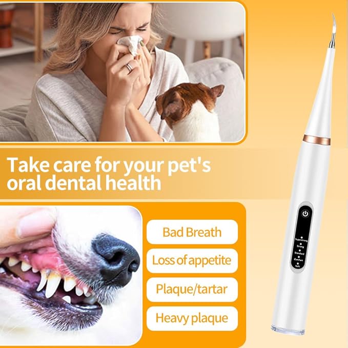 Dog Tartar Remover for Teeth, Dental Tools to Remove Plaque and Tartar, Pet Teeth Cleaning Kit with LED Light & USB, 5 Modes, IPX6 Waterproof, Silent Sonic for All Dogs and Cats, White