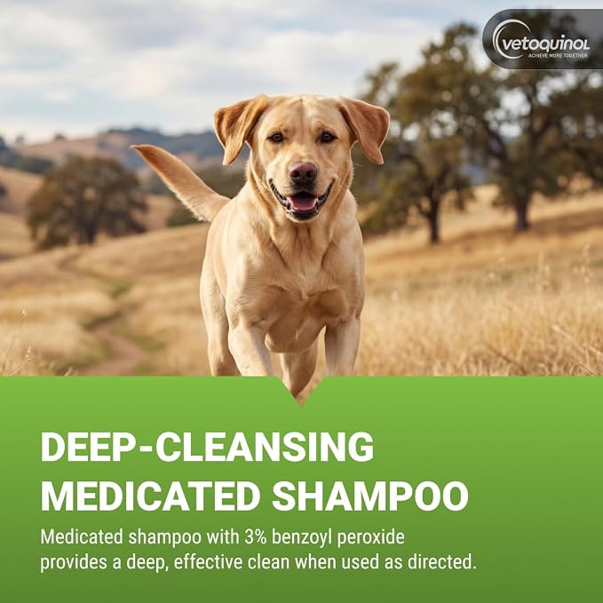 Vetoquinol BPO-3 Shampoo for Dogs, Cats & Horses (3% Benzoyl Peroxide) – 128oz – Deep Cleaning, Medicated Shampoo Opens & Flushes Hair Follicles – Degreases Oily Coats – Soothes Red, Flaky, Itchy Skin