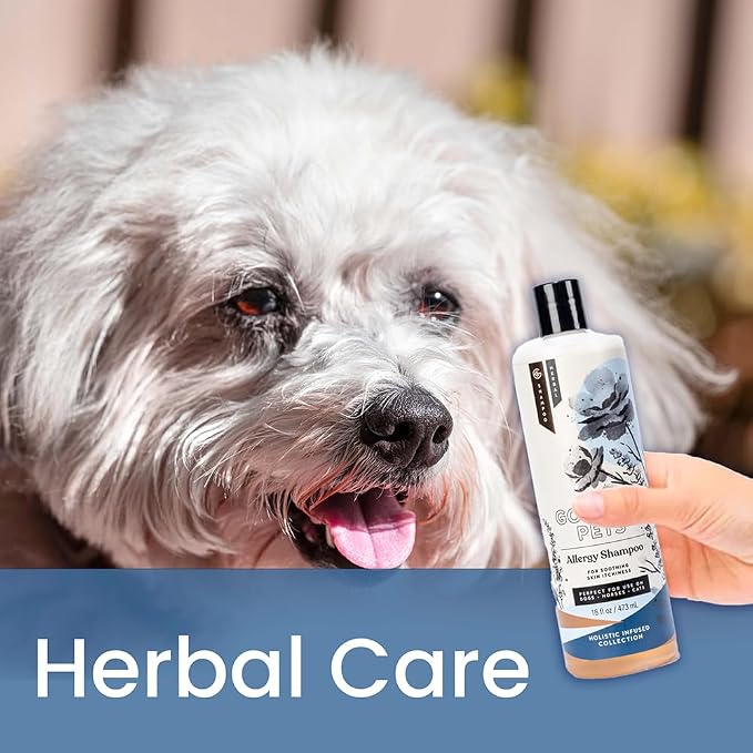 Holistic Natural Derived Allergy Pet Shampoo: Veterinarian Recommended: Soothing Skin Allergies and Skin Issues for Dogs, Cats and Horses - Made in USA - 16 oz