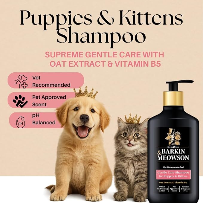 Barkin & Meowson Puppy & Kitten Gentle Shampoo with Oat Extract 11.83 fl oz | Gently cleanses sensitive skin & coat. pH balanced, paraben & sulphate free. Vet recommended