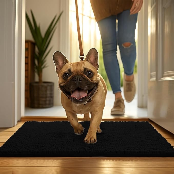 MUDGUARD MAT® Dog Door Mat for Muddy Paws, Super Absorbent Microfiber, Non-Slip Indoor Mat, Quick-Dry Chenille Rug for Pets & Entryway, Machine Washable, Black 19" x 30"