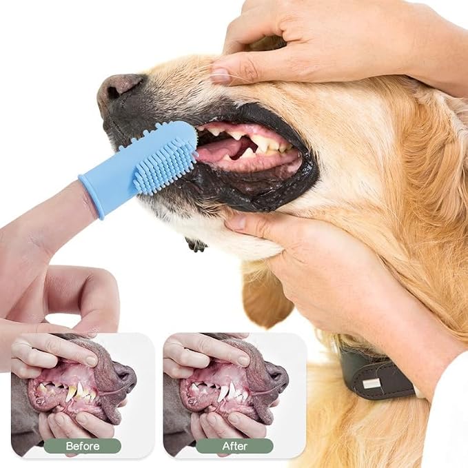 Dog Bath Brush with Shampoo Dispenser - Silicone Dog Shampoo Brush Scrubber for Bathing, Shedding & Massage for Dogs & Cats and 6 Finger Toothbrush For Dogs