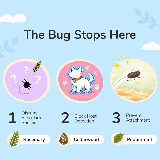 Flea Tick Protection Kit (Lavender Shampoo - Lavender Spray)