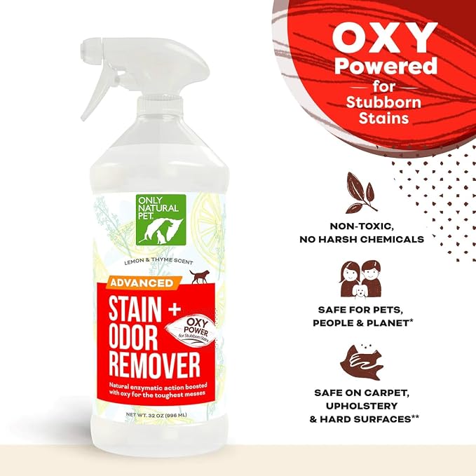 Only Natural Pet Advanced Stain & Odor Eliminator – Enzyme Powered Pet Urine Cleaner & Deodorizer for Cats – Hardwood Floors, Carpets & Upholstery – Fresh Mandarin Orange & Green Tea Scent – 32 fl oz