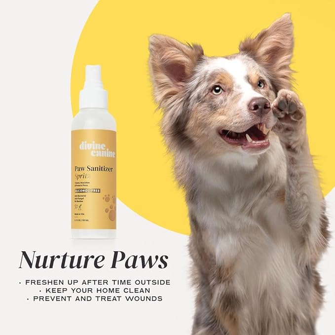 Dog Paw Cleaner - 5.1 Fl Oz of Alcohol Free Paw Cleansing Spray - Made with Aloe, Copaiba Oil, and Lemongrass Oil to Nourish and Clean Paws - Made in The USA