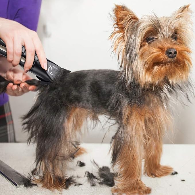 Pet Republique Cordless Dog Shaver Trimmer Kit with Additional Scissor and Hand Comb - Hair Clippers for All Fur Type & All Size Dogs Cats and Pets