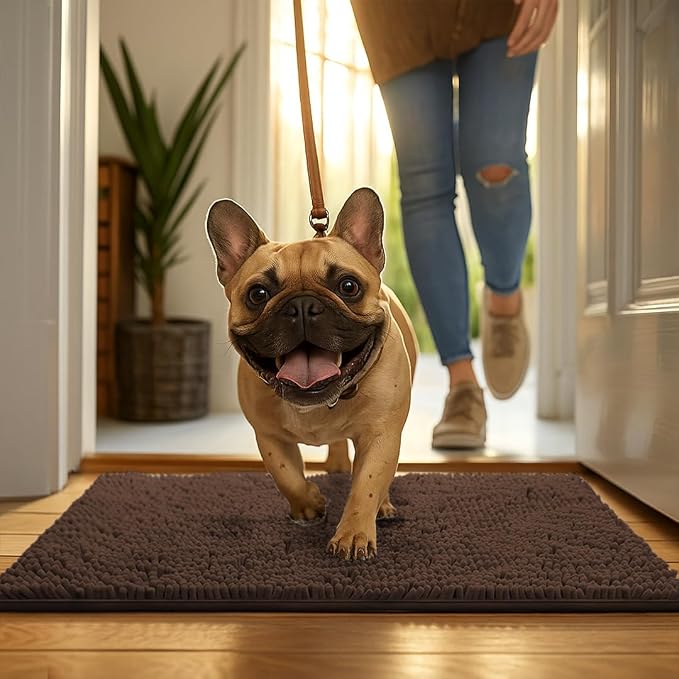 MUDGUARD MAT® Dog Door Mat for Muddy Paws, Super Absorbent Microfiber, Non-Slip Indoor Mat, Quick-Dry Chenille Rug for Pets & Entryway, Machine Washable, Choco 24" x 36"