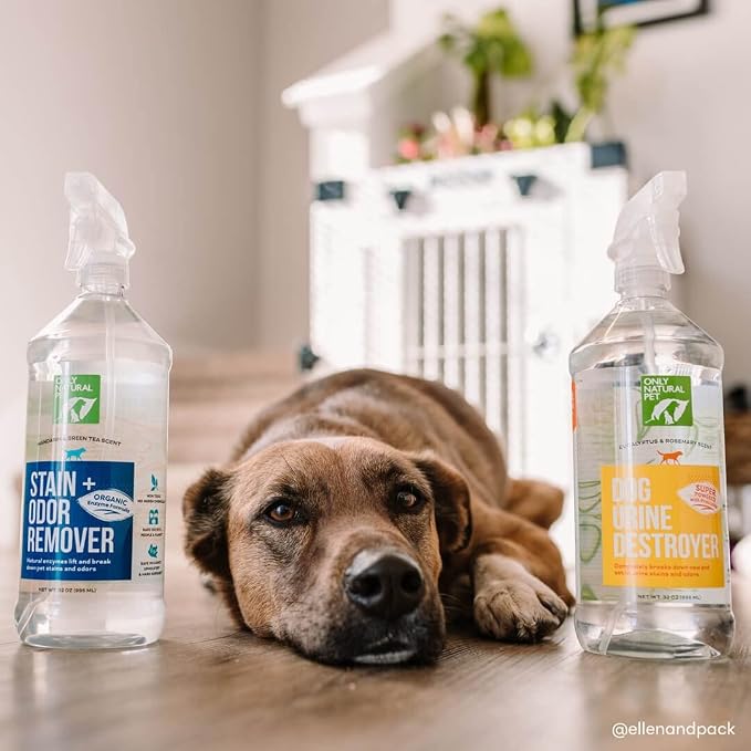Only Natural Pet Stain & Odor Remover – Enzyme-Based Plant-Derived Formula for Dogs – Dog Stain & Urine Cleaner for Hardwood, Carpet & Upholstery – Fresh Mandarin Orange & Green Tea – 32 fl oz