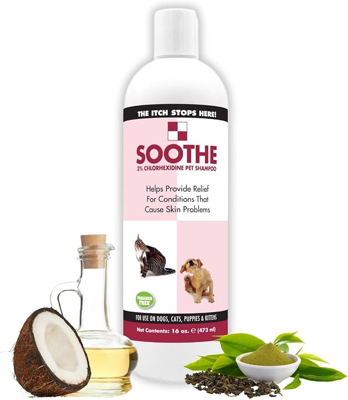 ShowSeason Soothe Itch Relief Pet Shampoo for Dogs & Cats 16 oz. | Antiseptic | Cools Red, Inflamed Skin | Made in USA
