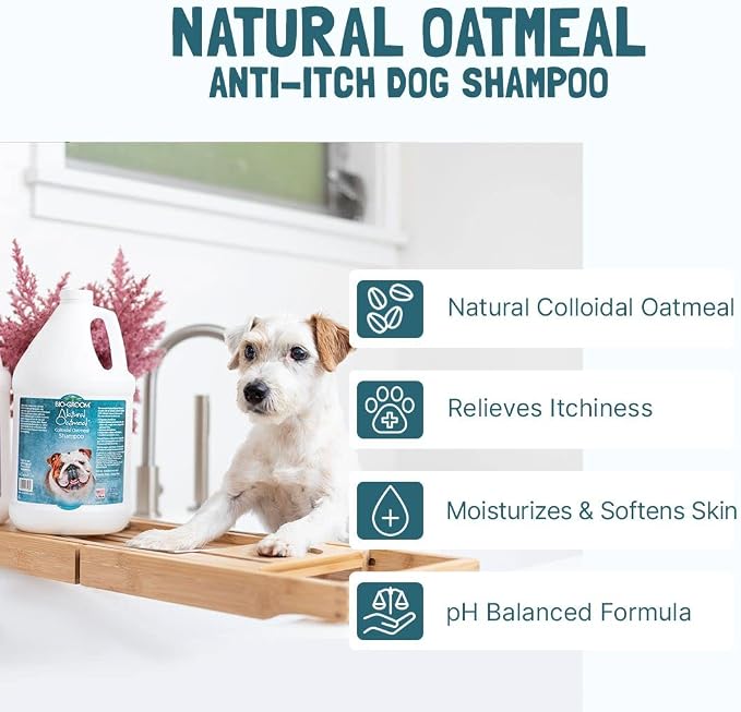 Bio-Groom Oatmeal Dog Shampoo for Allergies and Itching, 32 fl oz, 1-Pack | Cruelty-Free, Dog Bathing Supplies, Puppy Shampoo for Sensitive Skin, Made in USA, Anti-Itch Products