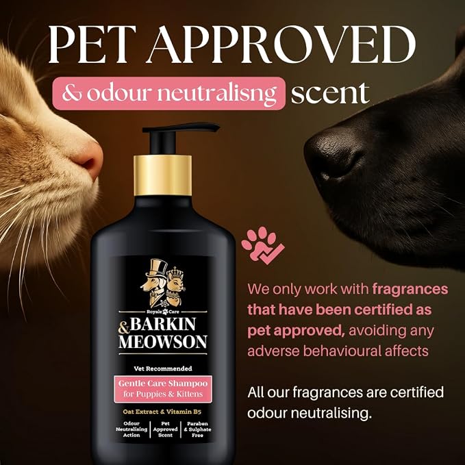 Barkin & Meowson Puppy & Kitten Gentle Shampoo with Oat Extract 11.83 fl oz | Gently cleanses sensitive skin & coat. pH balanced, paraben & sulphate free. Vet recommended