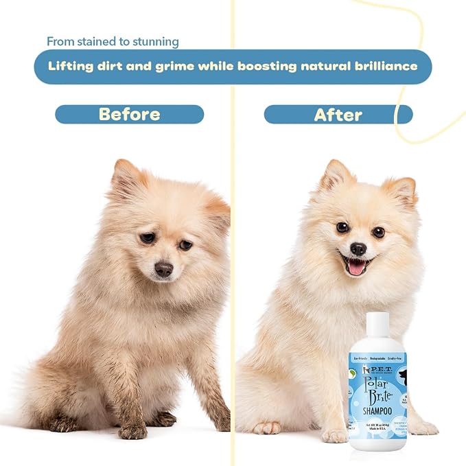 P.E.T. Polar Brite Tangerine Whitening Shampoo — Brightens White & Light-Colored Coats, Tangerine-Botanical Moisture Blend — 5 : 1 Concentrated Cosmetic Grooming Formula (Not a Pesticide) — 16 oz