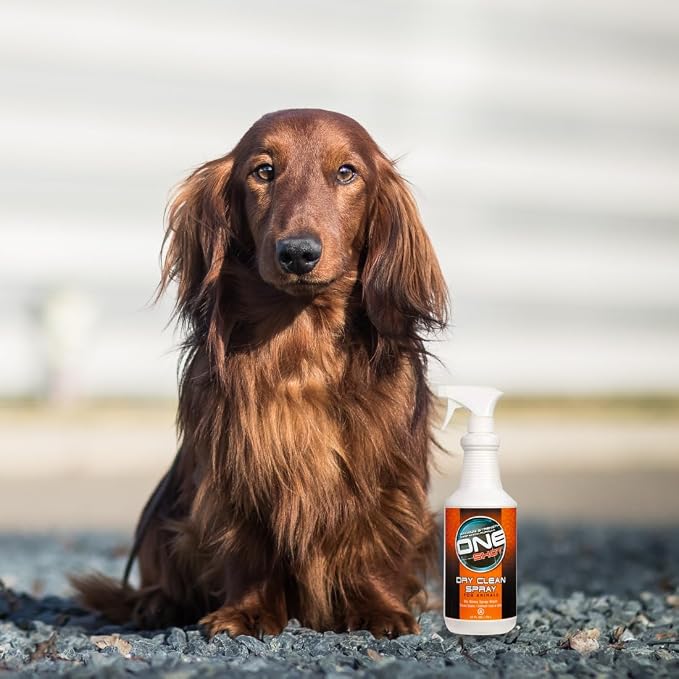Best Shot ONE Shot Dry Clean Spray, Waterless Pet Grooming Spray for Pets, Alcohol-Free Formula, Safe for Any Dog, Cat, and Horse, 32 Oz.