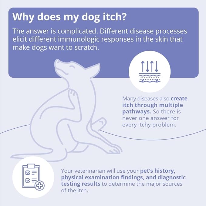 MiconaHex+Triz Spray Conditioner for Dogs, Cats and Horses, 8 oz, Clear