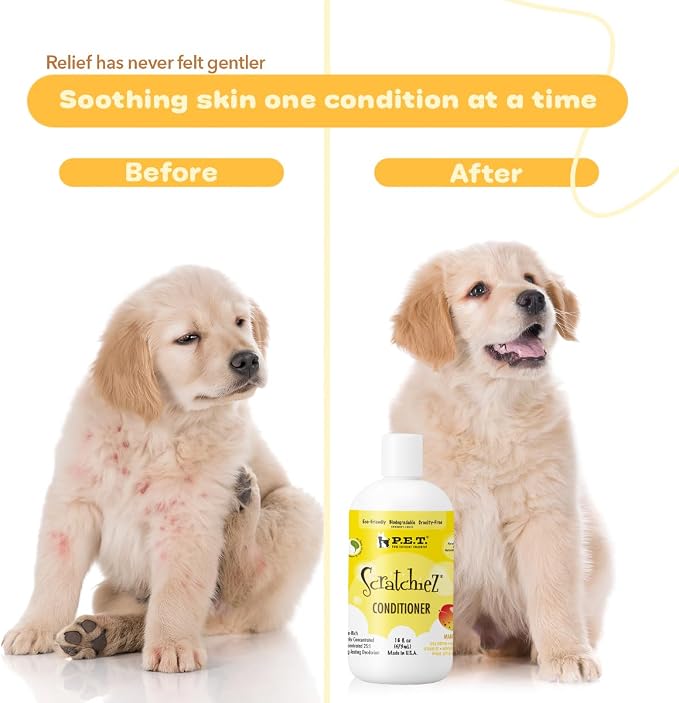P.E.T. Scratchiez Soothing Oatmeal & Aloe Conditioner for Dogs & Cats — Commercial 5 Gallon Pail — Moisturizes, Softens & Helps Calm Itchy, Flaky Coats — Sulfate-Free, pH-Balanced, Hypoallergenic