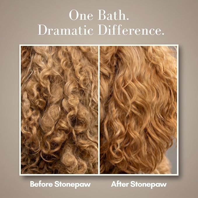 Premium Doodle Shampoo and Conditioner – Detangling Dog Shampoo for Doodles, Goldendoodles, Bernedoodles, and Labradoodles – Adult & Puppy Shampoo, Lavender, 16oz