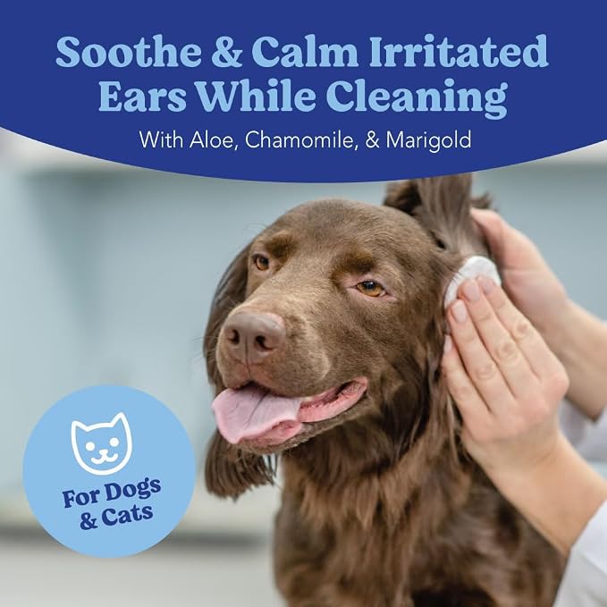 Angels' Eyes Ear Cleansing Wipes for Dogs & Cats | 100 Count Pre-Moistened Pads | Removes Dirt, Wax & Odor | Soothes Itchy Ears with Aloe & Chamomile | Alcohol-Free, No Dyes or Fragrance