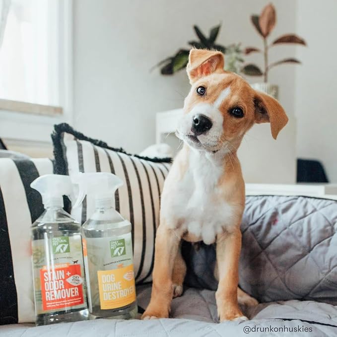 Only Natural Pet Advanced Stain & Odor Eliminator – Enzyme Powered Pet Urine Cleaner & Deodorizer for Cats – Hardwood Floors, Carpets & Upholstery – Fresh Mandarin Orange & Green Tea Scent – 32 fl oz