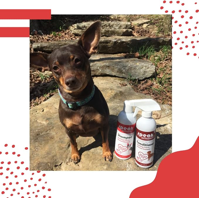 Speak Pet Products Natural Leave-in Conditioning Spray for Dogs Refill, Soothing Cherry Almond Oatmeal, 1 Gallon