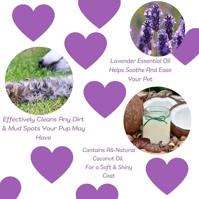 Speak Pet Products Natural Waterless Bath Spray, for Dogs, Calming Lavender, 8oz