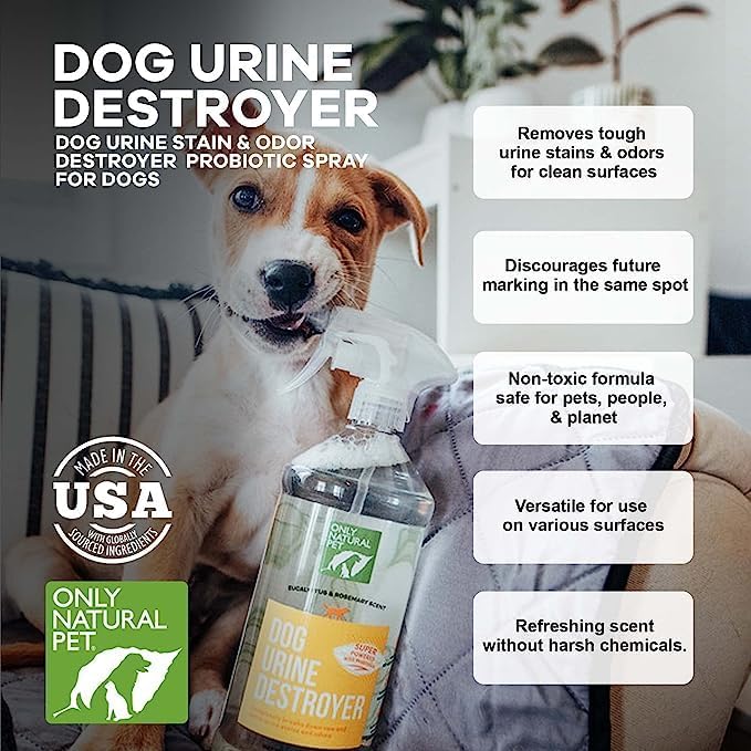 Only Natural Pet Enzyme Powered Stain & Odor Eliminator - Urine Destroyer for Dogs - Pet Urine Cleaner & Deodorizer - Hardwood Floors, Carpets & Upholstery - Eucalyptus & Rosemary - 32 fl oz - 2 Pack