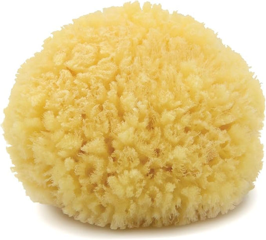 Neptune Caribbean Sea Sponge for Face & Body, Medium Approx. 5-6 Inch, Ultra-Soft Bath Sponge, Eco-Friendly & Biodegradable