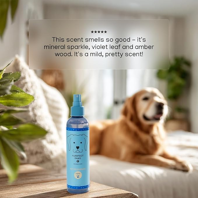 Pet Odor Neutralizing Air and Fabric Spray — Pet-Safe Deodorizer with Zinc Salt — Vegan and Cruelty-Free — Fresh Rain & Wild Violet Scent – Made in USA by Purrfect Paws