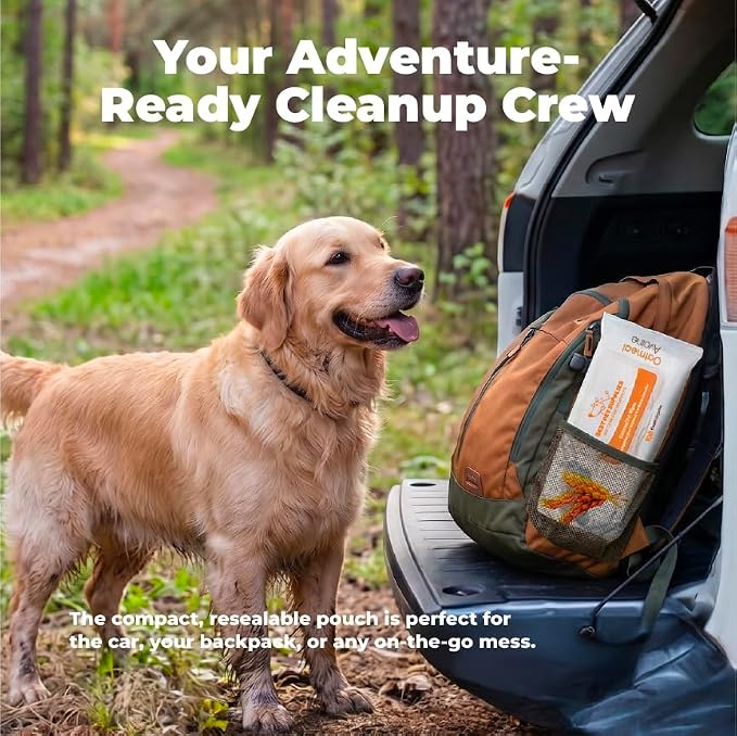 Best Pet Supplies 8" x 9" Large Unscented Dog Wipes - Cleaning and Deodorizing for Paws and Coat - Gentle Formula with Oatmeal Vitamin E for Puppies and Cats - 100 Count