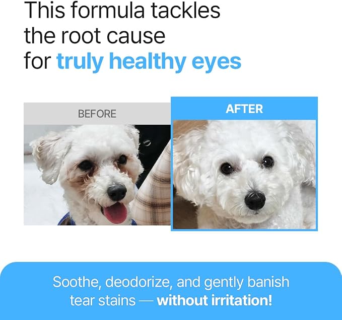 PetO’Cera Q-Eye, Eye Stain Remover for Dogs and Cats, Removes Tear Stains, Discharge, Soothes, Neutralizes Odors, Vet Approved, Korean Pet Skin Care (10.1 fl oz, 300ml)