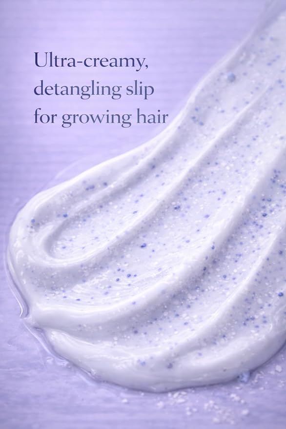 BABY HAIR - Blueberry Mineral Kids Hair Conditioner, Sulfate-Free Toddler Hair Conditioner, Hair Conditioner for Kids with Blueberry & Strawberry Oil, Aloe Vera, and Biotin, 10 fl.oz