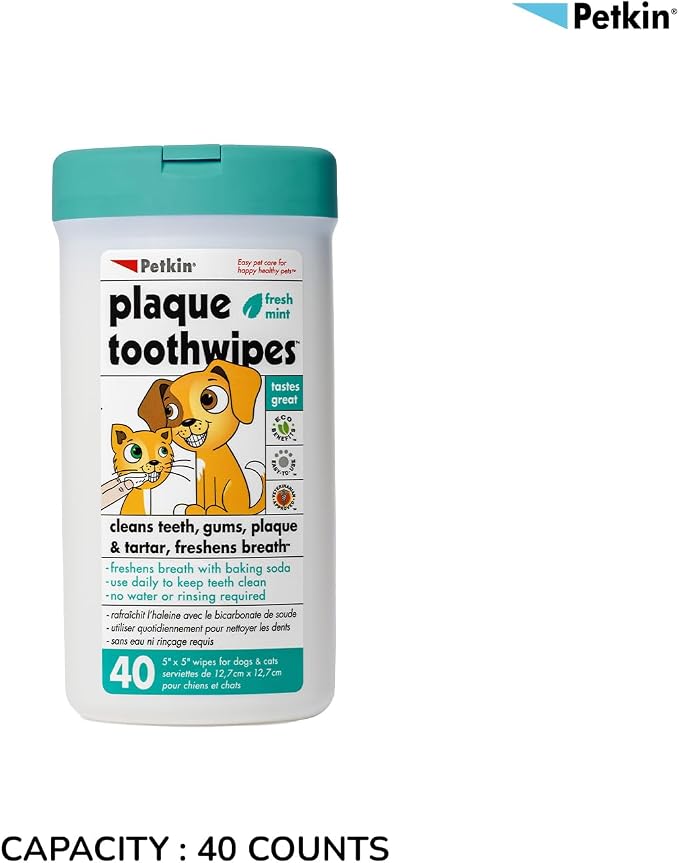 Petkin Cat and Dog Dental Wipes, 80 Wipes (Fresh Mint) - Natural Formula Cleans Teeth, Gums & Freshens Breath - for Daily Use - Convenient Dog Dental Care - 2 Packs of 40 Wipes (80 Wipes Total)