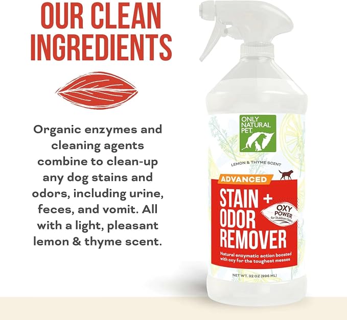 Only Natural Pet Advanced Stain & Odor Eliminator – Enzyme Powered Pet Urine Cleaner & Deodorizer for Cats – Hardwood Floors, Carpets & Upholstery – Fresh Mandarin Orange & Green Tea Scent – 32 fl oz