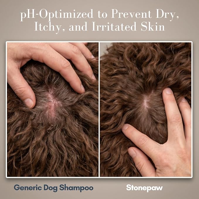 Premium Doodle Shampoo and Conditioner – Detangling Dog Shampoo for Doodles, Goldendoodles, Bernedoodles, and Labradoodles – Adult & Puppy Shampoo, Lavender, 16oz