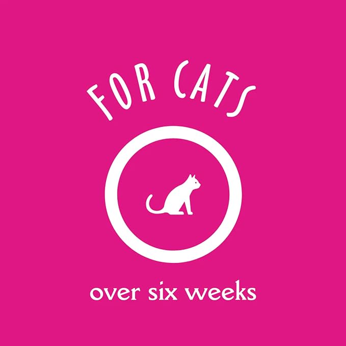 earthbath, Hypoallergenic Cat Shampoo - Fragrance Free Cat Shampoo for Allergies and Itching, Made in USA, Cruelty Free Cat Wash, Gentle & Soothing Kitty Shampoo - 16 Oz (1 Pack)