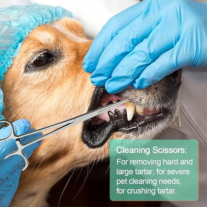 8 Pcs Dog Tartar Remover Pet Teeth Cleaning Tool, Cat Plaque Off Calculus Remover, Dog Tooth Scaler and Scraper, Stainless Steel Dental Forceps for Dogs and Cats Oral Care
