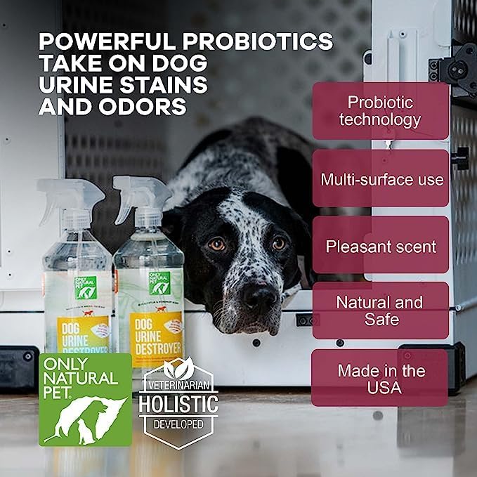 Only Natural Pet Enzyme Powered Stain & Odor Eliminator - Urine Destroyer for Dogs - Pet Urine Cleaner & Deodorizer - Hardwood Floors, Carpets & Upholstery - Eucalyptus & Rosemary - 32 fl oz - 2 Pack