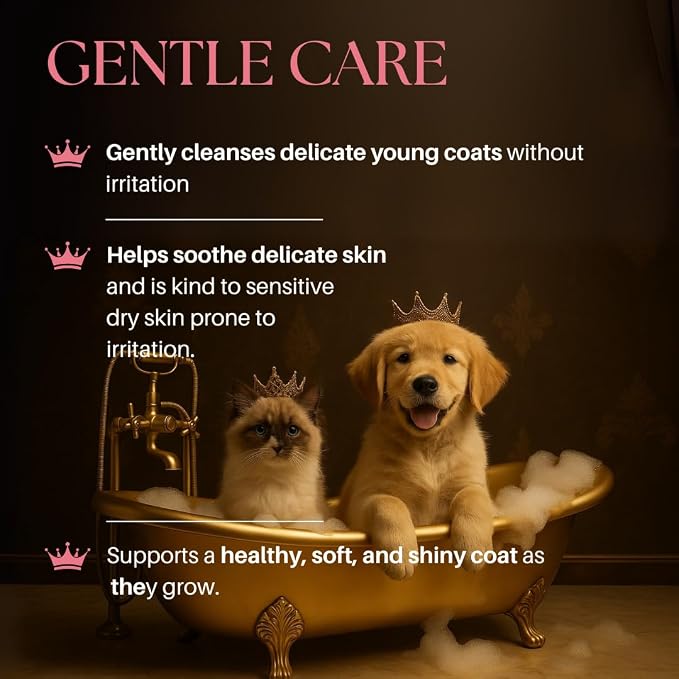 Barkin & Meowson Puppy & Kitten Gentle Shampoo with Oat Extract 11.83 fl oz | Gently cleanses sensitive skin & coat. pH balanced, paraben & sulphate free. Vet recommended