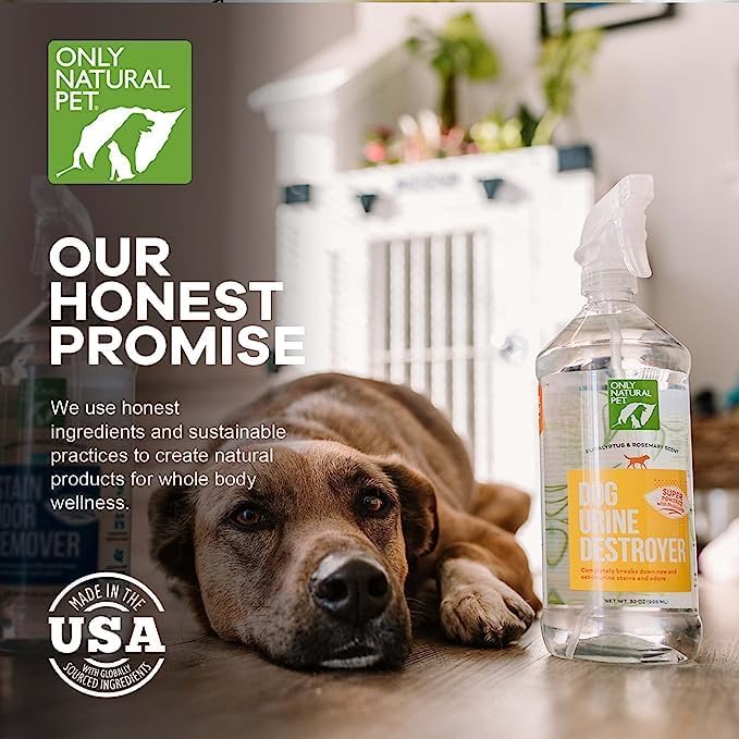 Only Natural Pet Enzyme Powered Stain & Odor Eliminator - Urine Destroyer for Dogs - Pet Urine Cleaner & Deodorizer - Hardwood Floors, Carpets & Upholstery - Eucalyptus & Rosemary - 32 fl oz - 2 Pack