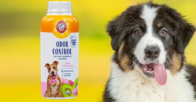 Arm & Hammer for Pets Odor Control Dry Shampoo Powder for Dogs and Puppies Waterless Dog Deodorizer Baking Soda Paraben Sulfate Dye Free Kiwi Blossom Scent 4.2 OZ at Home Travel Routine