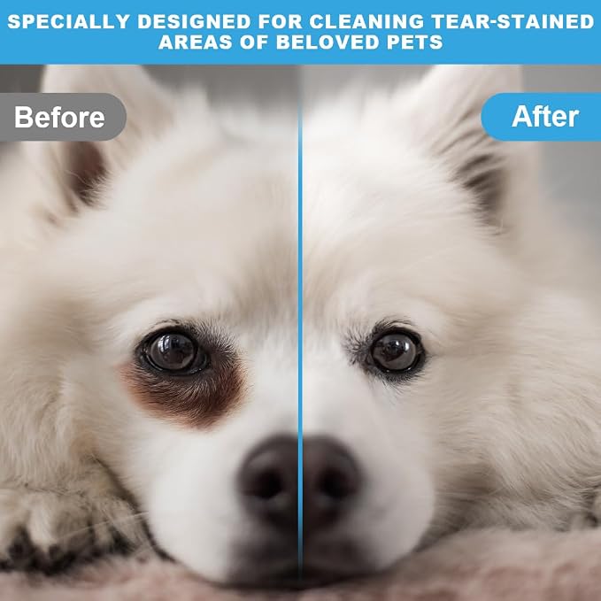 AOMIG Dog Eye Drops, Pet Eye Drops for Dogs and Cats, Infection Treatment to Soothe Infection Allergy, Relieve Dry Eyes & Pink Eyes, Tear Stain Cleaner Wash Solution Safe for All Animals, 1.7 Fl Oz