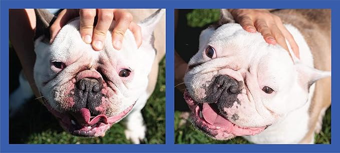 Squishface Silicone Applicator for Dog Wrinkle Paste & Tear Stain Cream