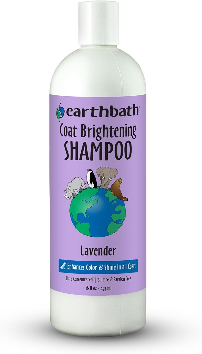 earthbath, Lavender Dog Shampoo - Coat Brightening Shampoo for Dogs, Deodorizing Dog Wash, Made in USA, Shampoo for Smelly Dogs, Cruelty Free Pet Shampoos - 16 Oz (1 Pack)