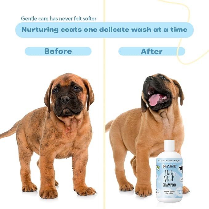 P.E.T. Baby Mild Ultra-Gentle Shampoo — Tear-Free, Hypoallergenic & Fragrance-Free Cleanser for Sensitive Pets — 5 : 1 Concentrate (Mix or Use Neat) — Cosmetic Grooming Formula — 16 oz